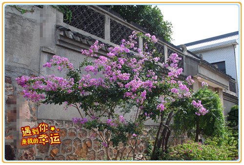 ��Ƭ 018_����.jpg