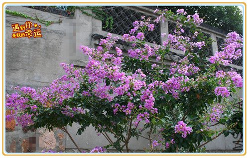 ��Ƭ 022_����1.jpg