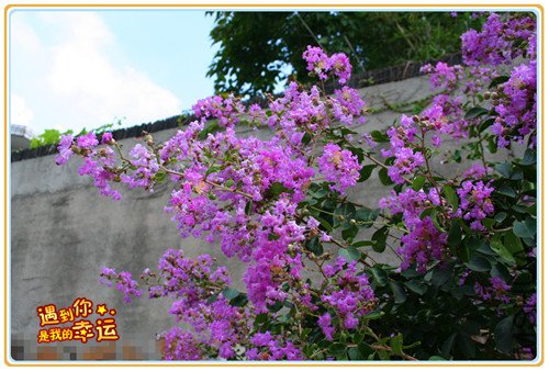 ��Ƭ 024_����.jpg