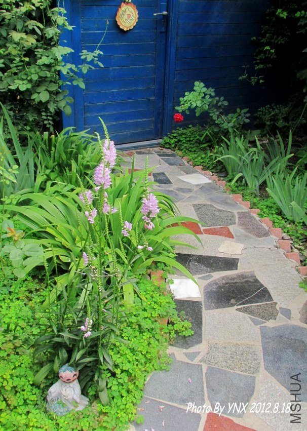 2012.8.18. 026_conew1.jpg