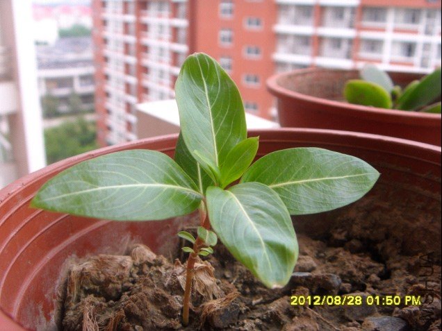 QQ��ͼ20120828144947.jpg