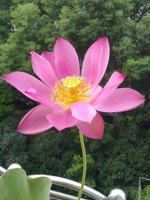 201208271491~1.jpg