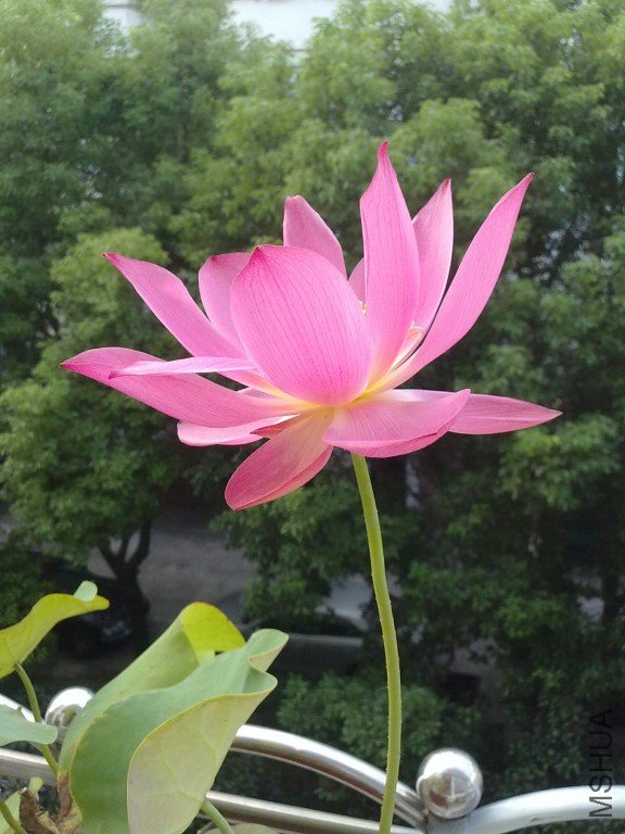 201208271493~1.jpg