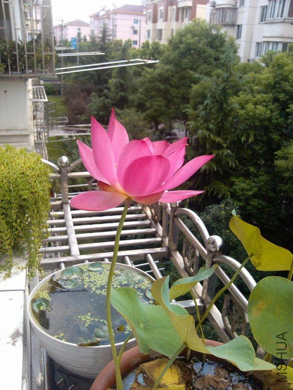201208272~1.jpg