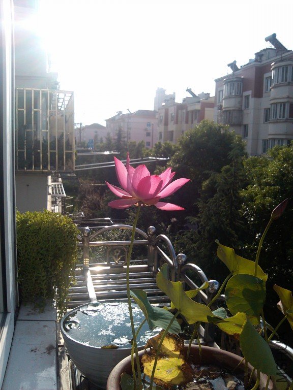 201208273~1.jpg