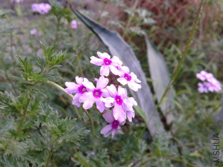 2012-08-28 18.27.55.jpg