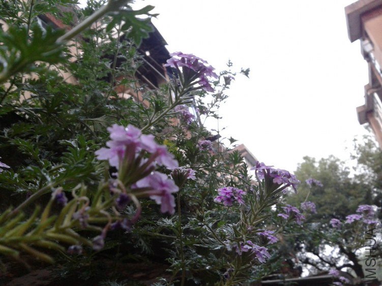 2012-08-28 18.43.32.jpg