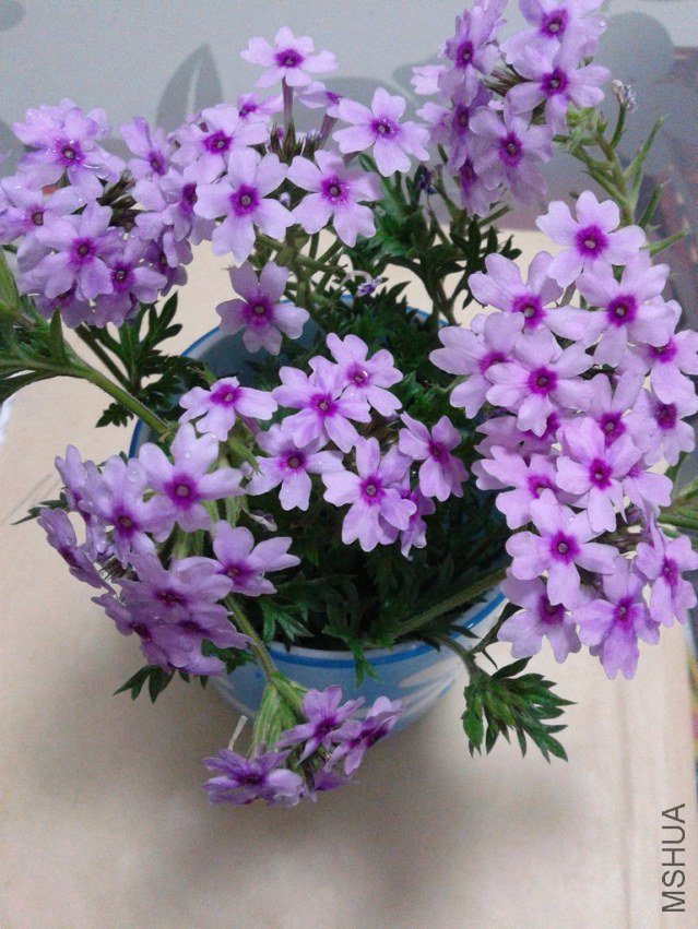 2012-08-28 18.57.35.jpg