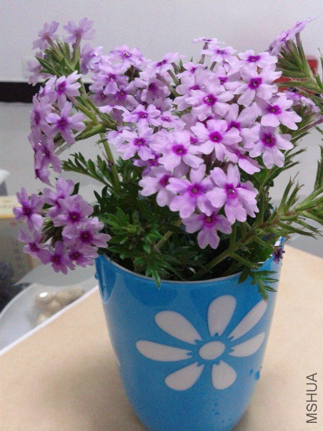 2012-08-28 18.57.55.jpg