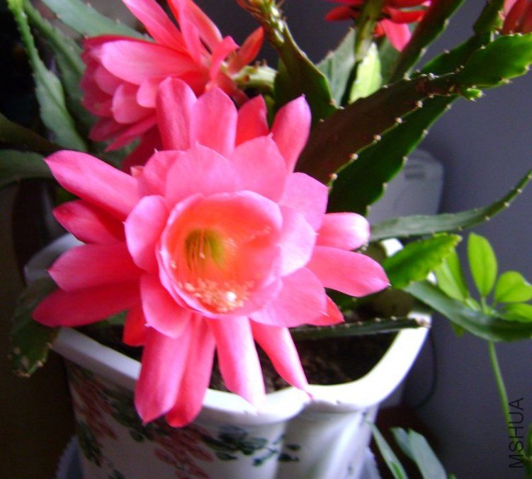 DSC05760.JPG