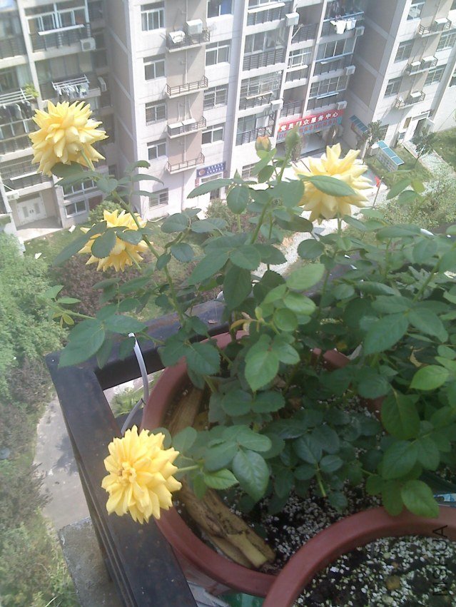 ����3�µ����ͼͼ,����û������,�����������˵�,�Ϳ���