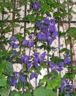 QQ��ͼ20120829112548.jpg