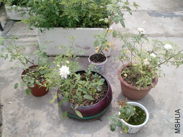 P1342_29-08-12.jpg