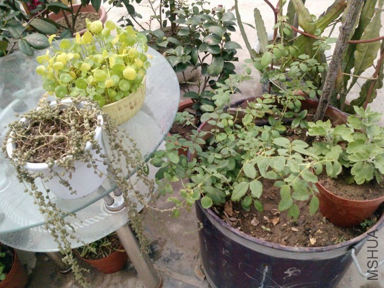 P1341_29-08-12.jpg
