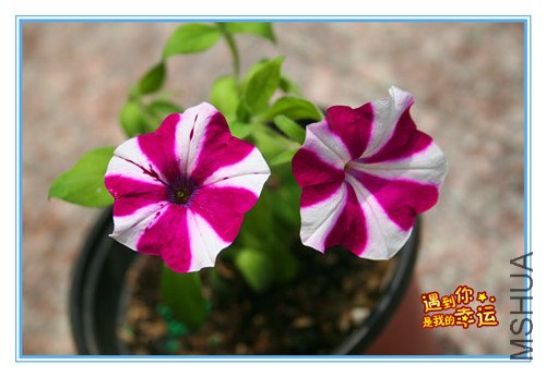 ��Ƭ 144_����.jpg