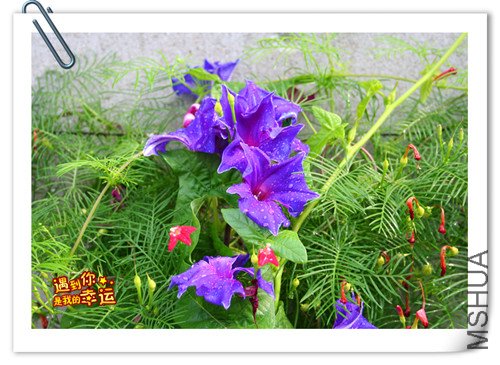 ��Ƭ 011_����.jpg