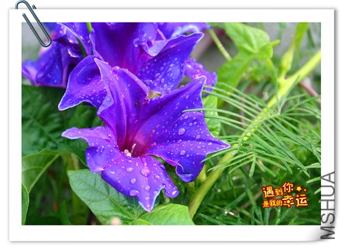 ��Ƭ 014_����.jpg