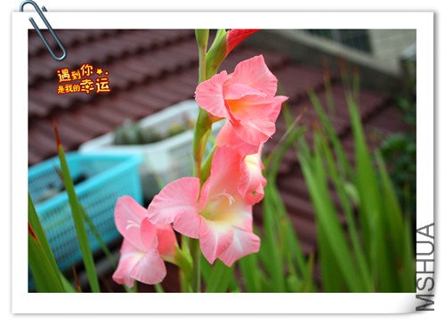 ��Ƭ 033_����.jpg