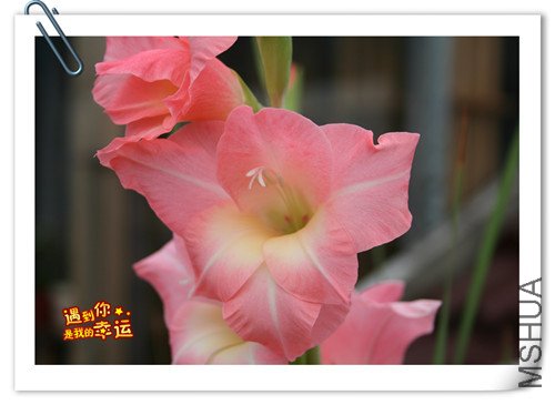 ��Ƭ 036_����.jpg