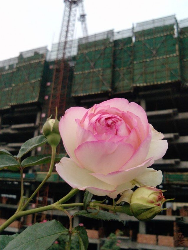 P0716_25-04-12��ɳ.jpg