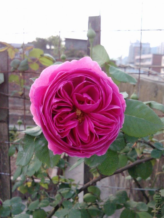 P0730_19-04-12.jpg