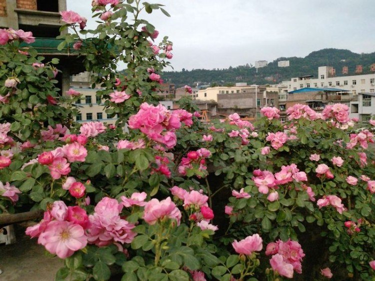 P0746_04-05-12.jpg