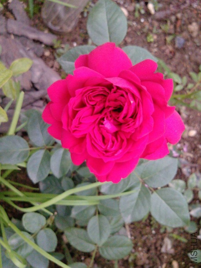 P0753_08-06-12.jpg