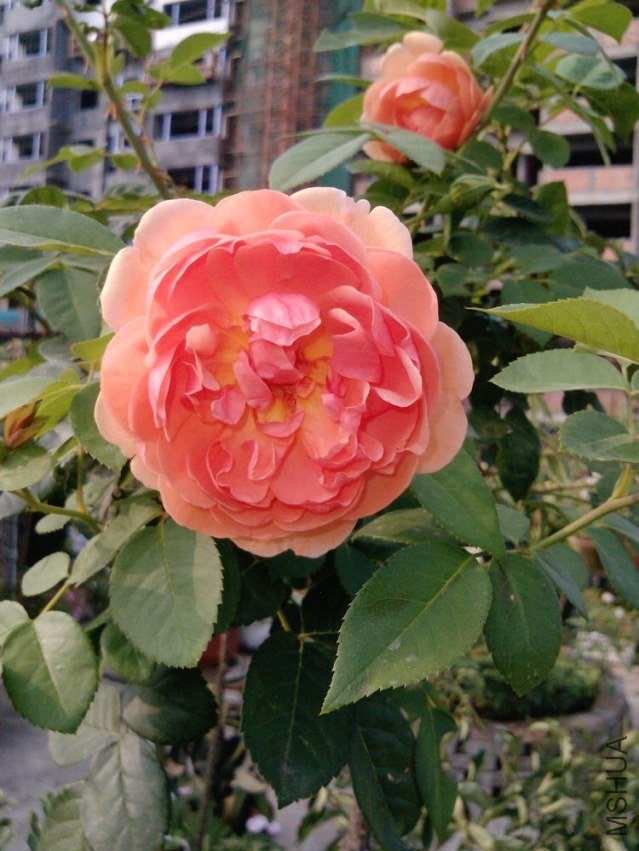 P0851_11-08-12.jpg