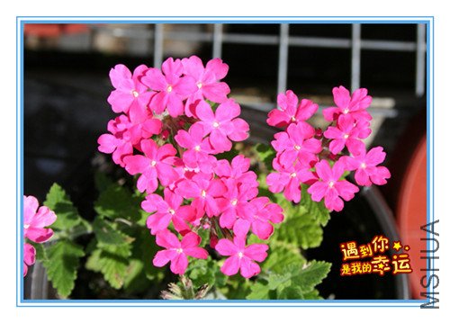 ��Ƭ 076_��ת_����.jpg