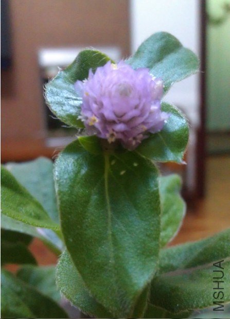 QQ��ͼ20120829201804.jpg