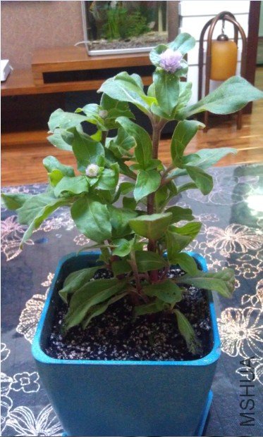 QQ��ͼ20120829201815.jpg