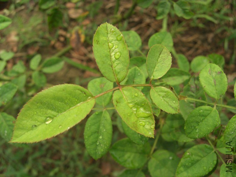 CIMG5150_����.jpg