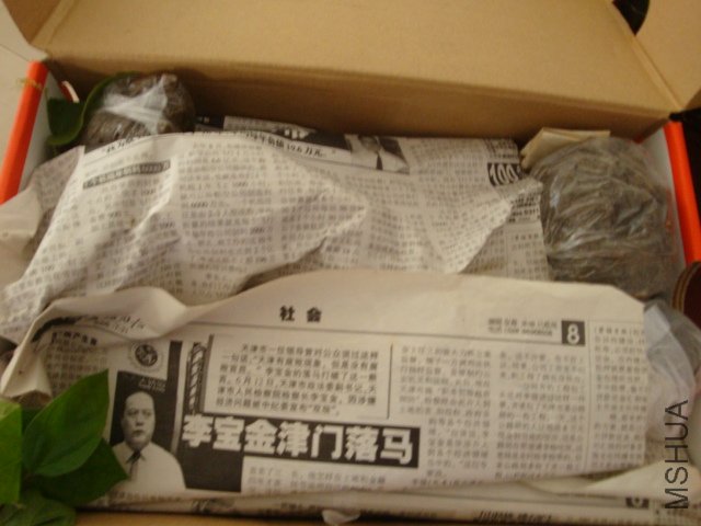 DSC04285.JPG