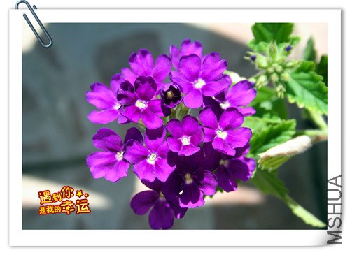 ��Ƭ 064_����.jpg