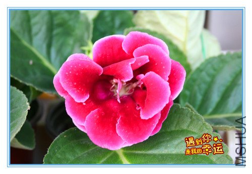 ��Ƭ 020_����.jpg