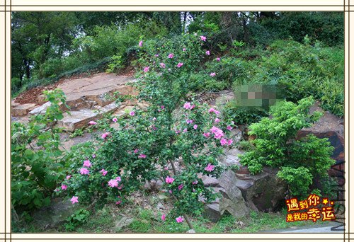 ��Ƭ 035_����.jpg