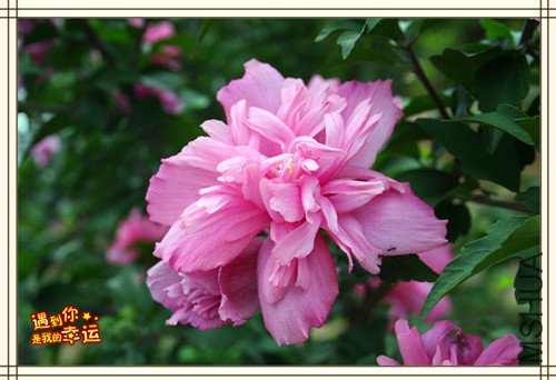 ��Ƭ 040_����.jpg