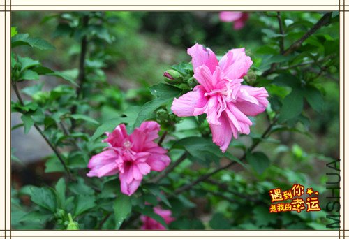 ��Ƭ 043_����.jpg