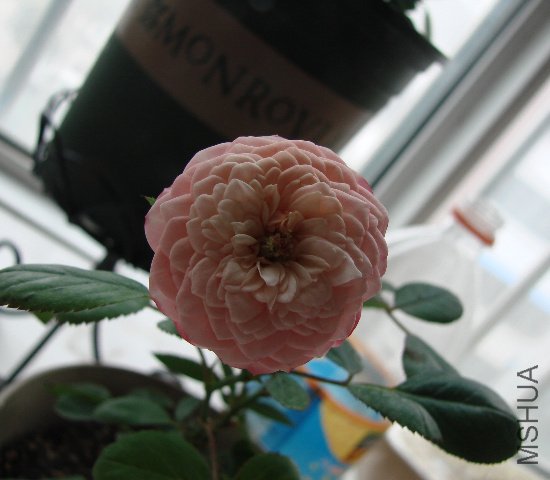 DSC06662.JPG