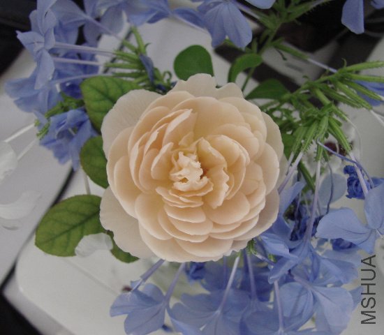 DSC06555.JPG