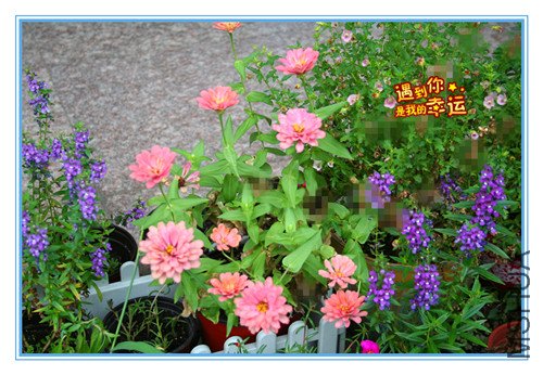 ��Ƭ 040_����.jpg