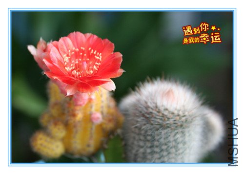 ��Ƭ 051_����.jpg