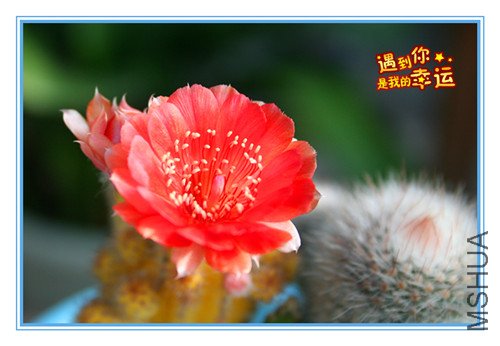 ��Ƭ 052_����.jpg