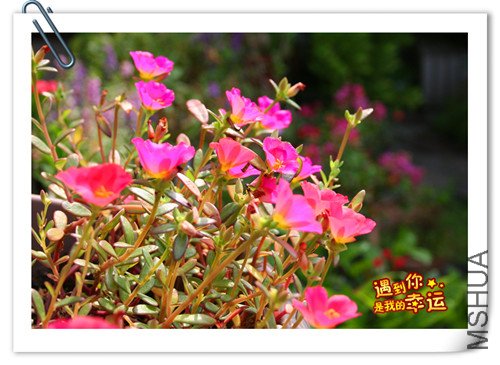 ��Ƭ 039_����22.jpg