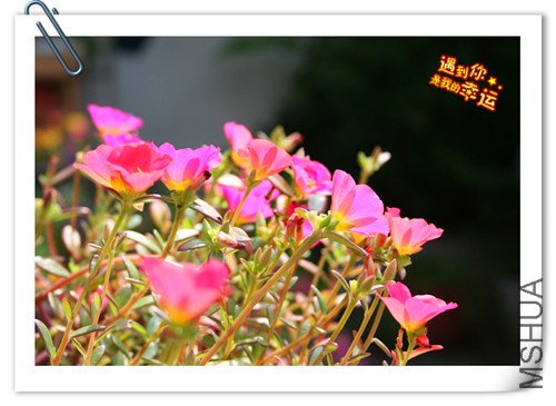 ��Ƭ 042_����.jpg