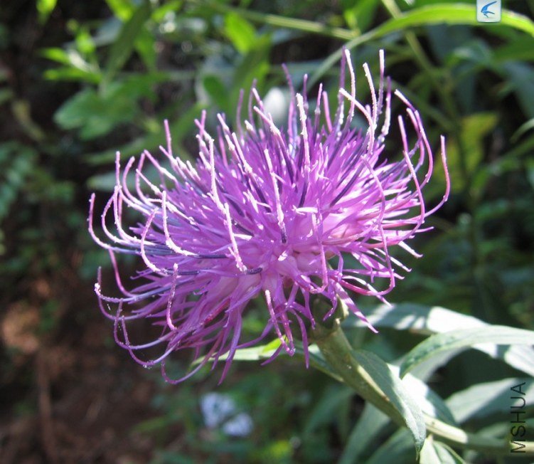 QQ��ͼ20120831155519.jpg