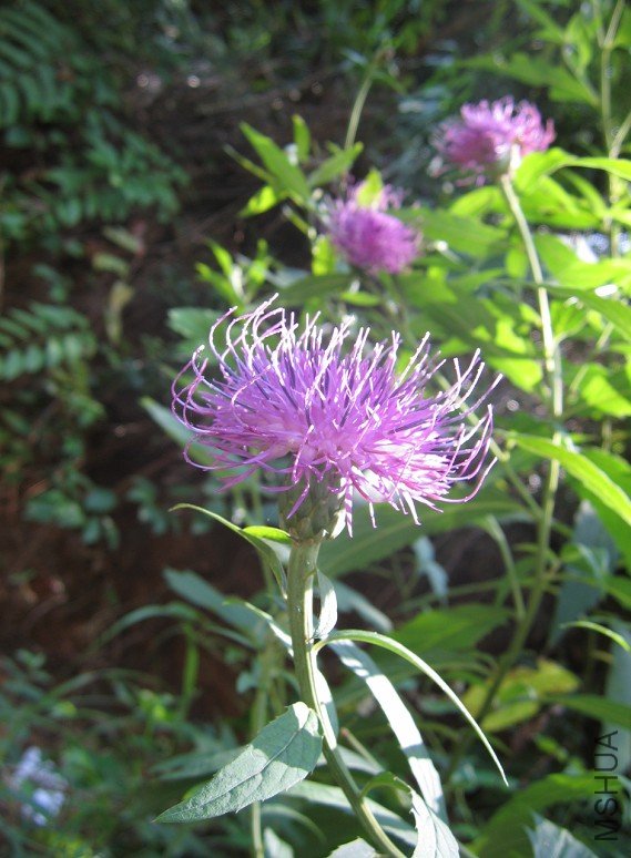 QQ��ͼ20120831155527.jpg