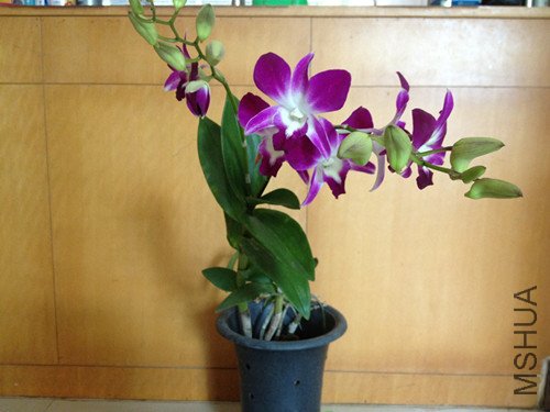 IMG_0546_3.jpg