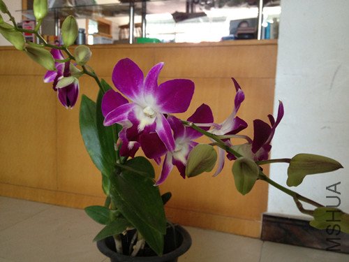 IMG_0547_6.jpg