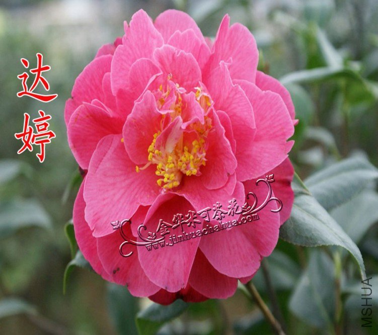 101-����ˮӡ.jpg